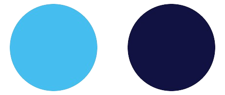 Specialized IT Auditing